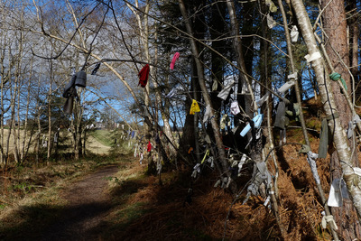 Walk photo