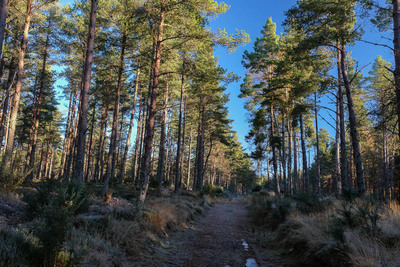 Walk photo