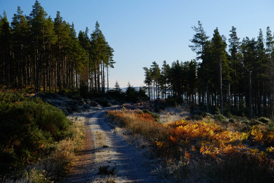 Walk photo
