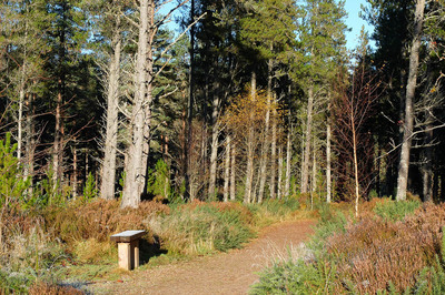 Walk photo
