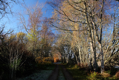 Walk photo