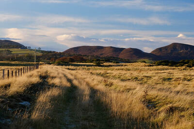Walk photo