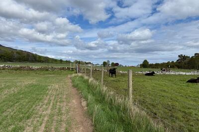Walk photo