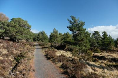 Walk photo