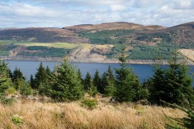 Loch Ness 360: Inverness to Drumnadrochit