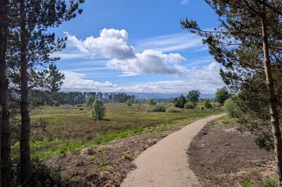 Walk photo