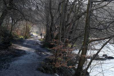 Walk photo