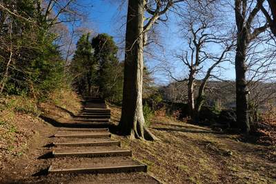 Walk photo