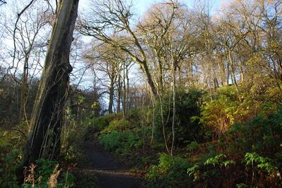 Walk photo