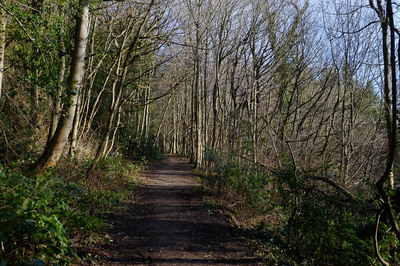 Walk photo