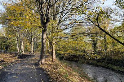 Walk photo