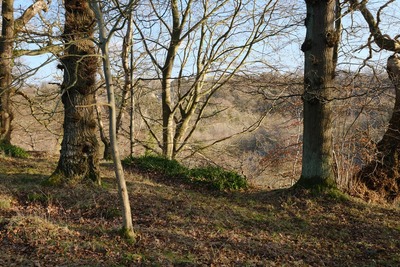Walk photo
