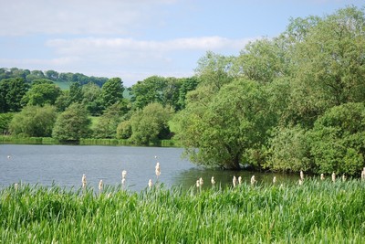 Walk photo