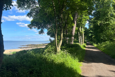 Walk photo