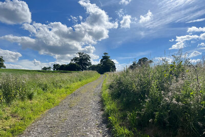 Walk photo