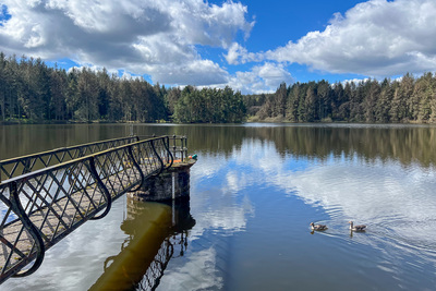 Walk photo