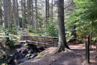 Walk photo