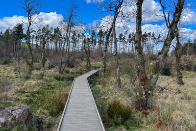 Walk photo