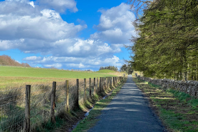 Walk photo