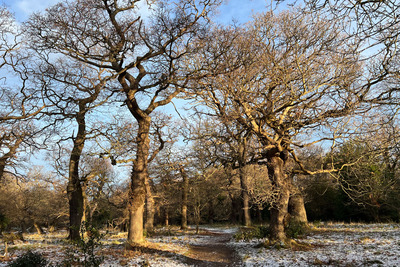Walk photo