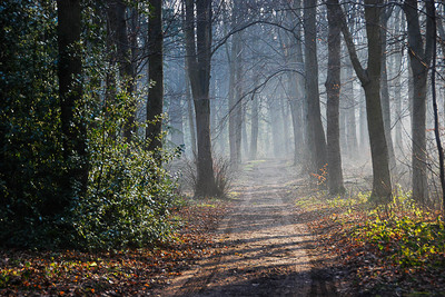 Walk photo