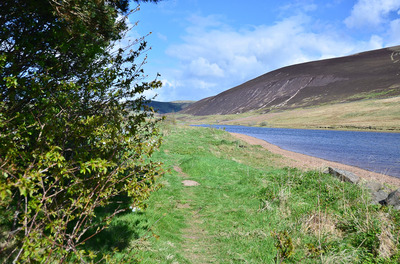 Walk photo