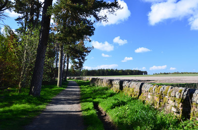 Walk photo
