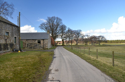 Walk photo