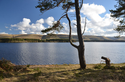 Walk photo