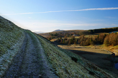 Walk photo