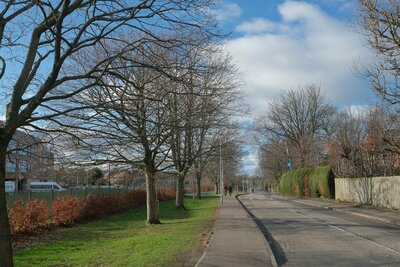 Walk photo