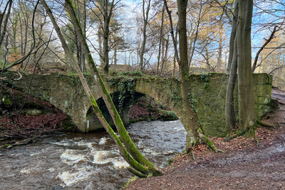 Walk photo