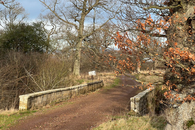 Walk photo