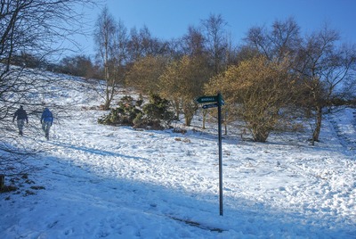 Walk photo