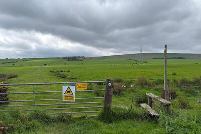 Walk photo