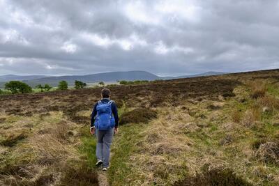 Walk photo