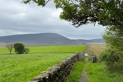 Walk photo