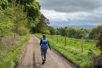 Walk photo