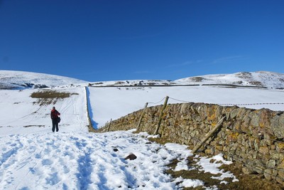Walk photo