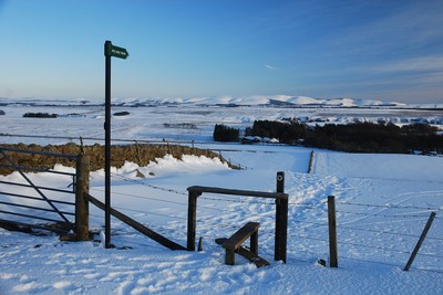 Walk photo