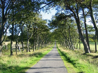 Walk photo