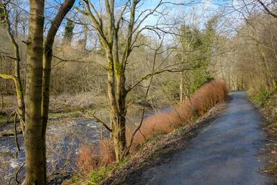 Walk photo
