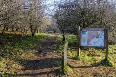 Walk photo