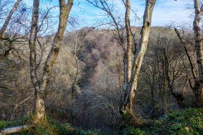 Walk photo
