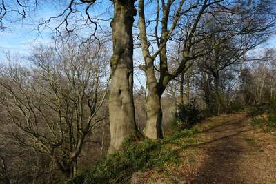 Walk photo