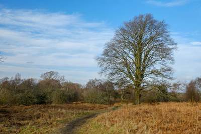 Walk photo