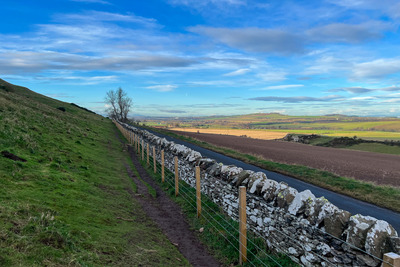 Walk photo