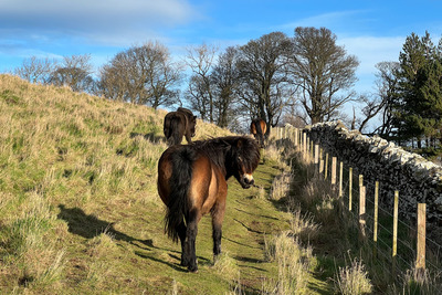 Walk photo