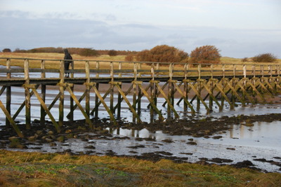 Walk photo
