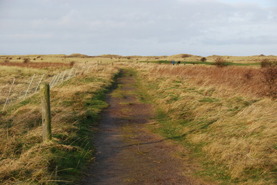 Walk photo